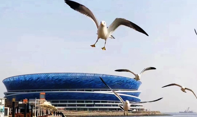 开云官方网站-大连人解散两周年，一直牢记说过的话！大连足球和英博应居安思危|大连人队|大连人职业足球俱乐部|球迷|足球城|俱乐部_新浪体育_新浪新闻